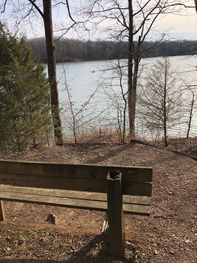 Hematite Lake Trail Bench