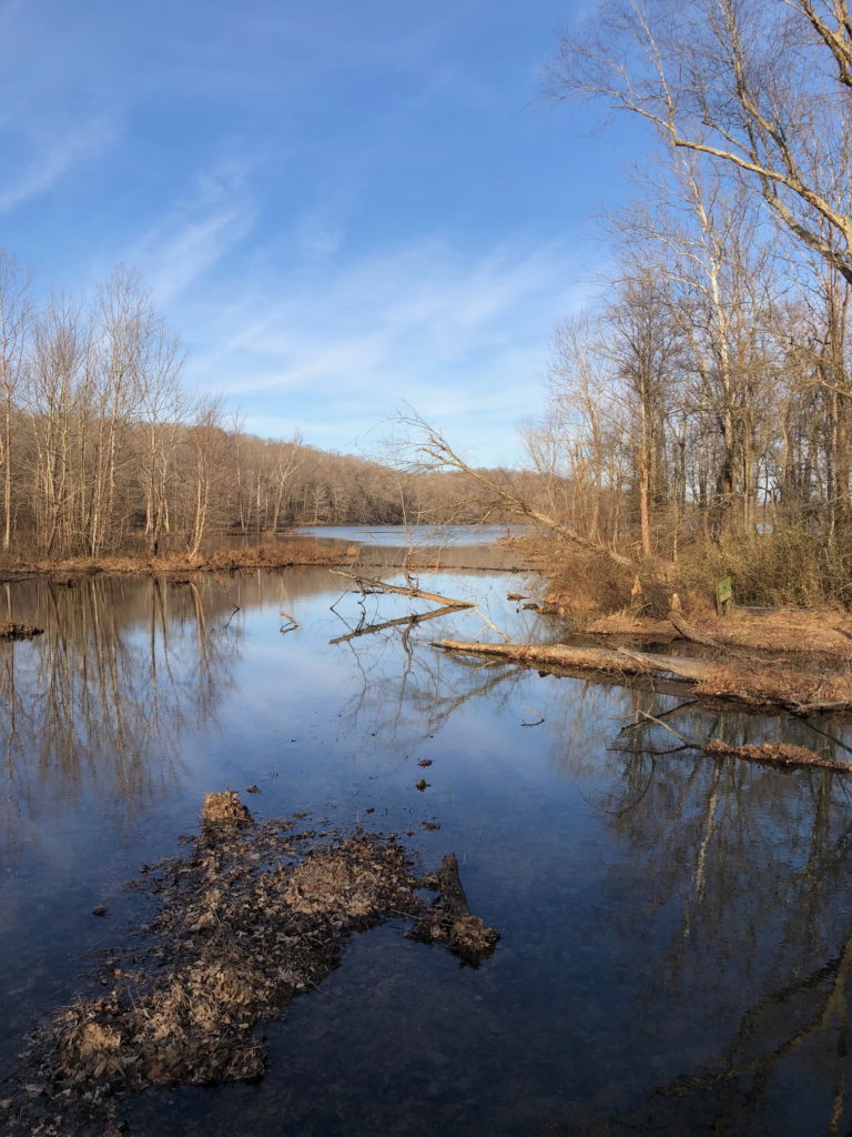 Hematite Lake Trail Views from board walk.