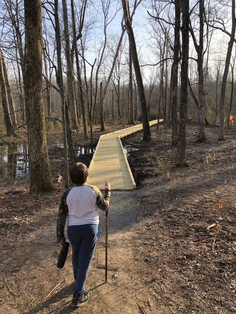 Hematite Lake Trail Land Between the Lakes Boardwalk