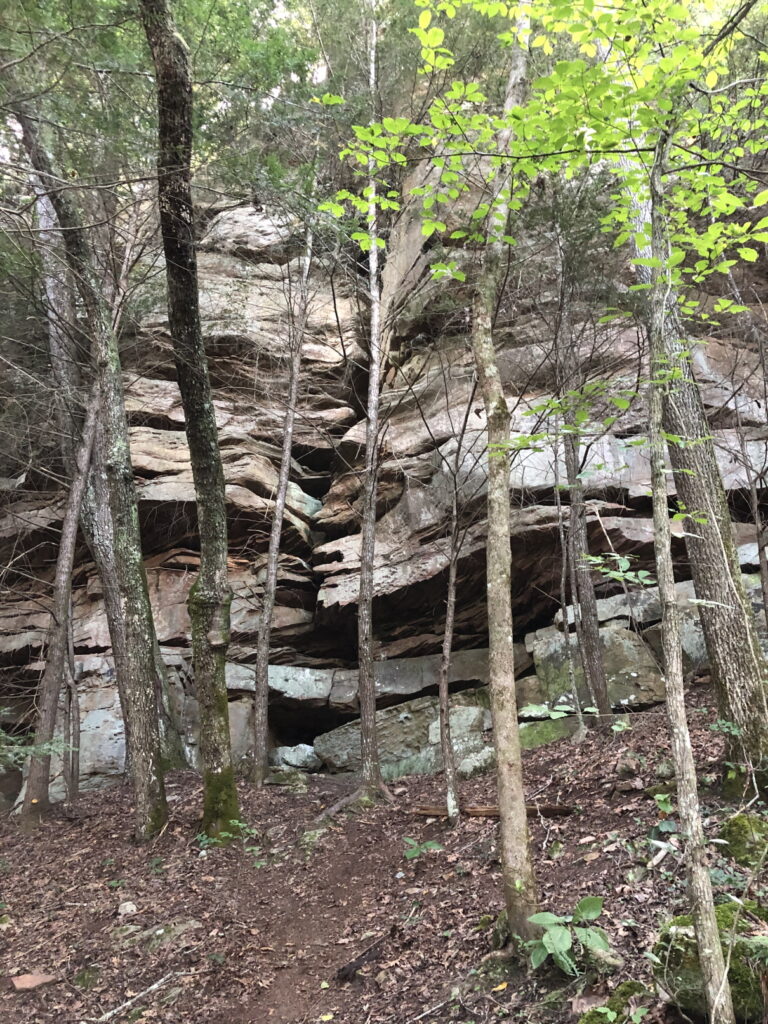 Eagle Falls Trail Rocks