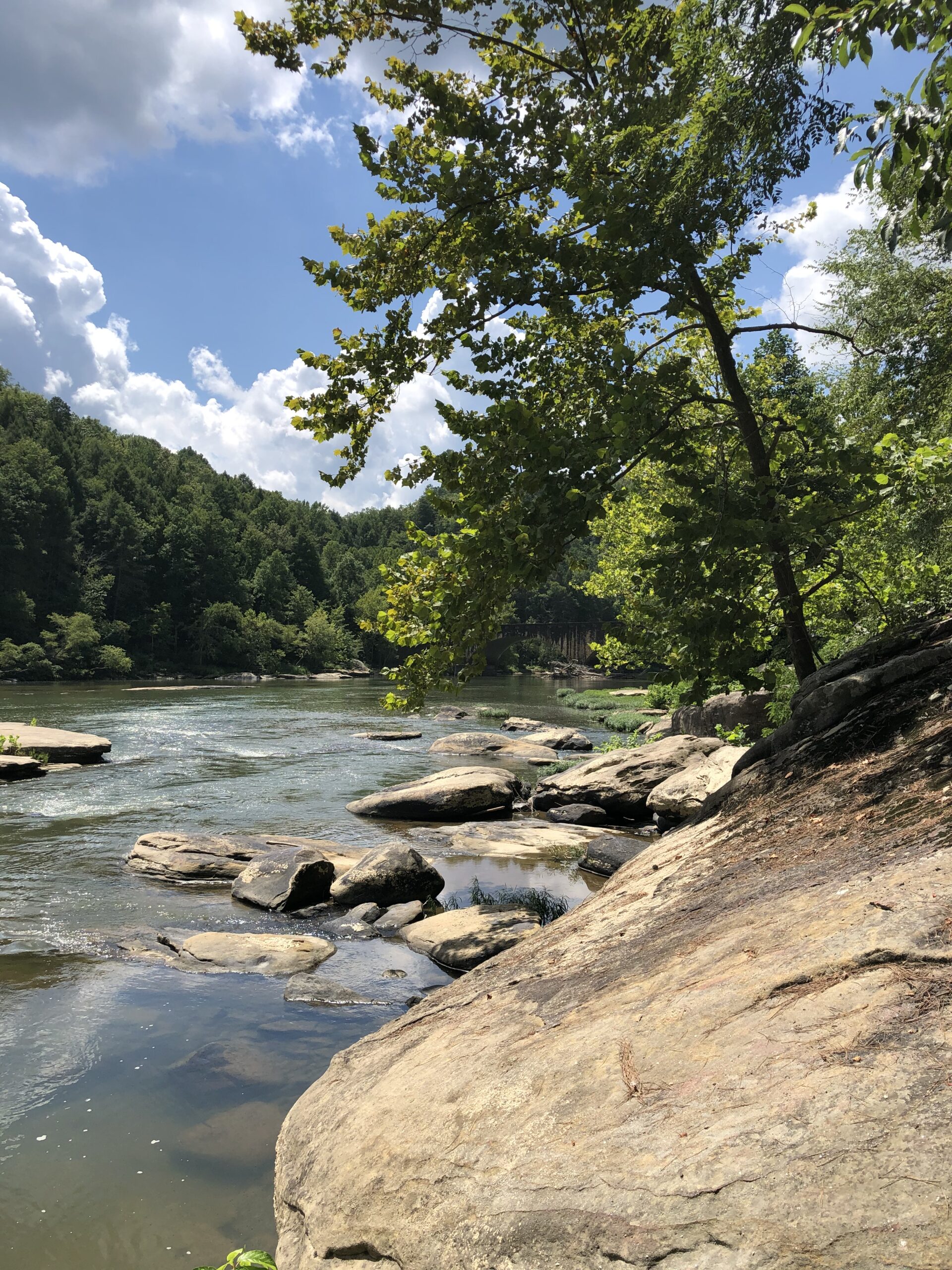 Brocation stop 1 - Cumberland Falls Picnic Area