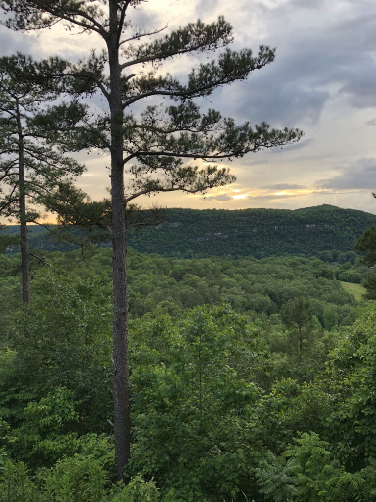 Favorite Vacation Spot - Mountain View Arkansas view from cabin.