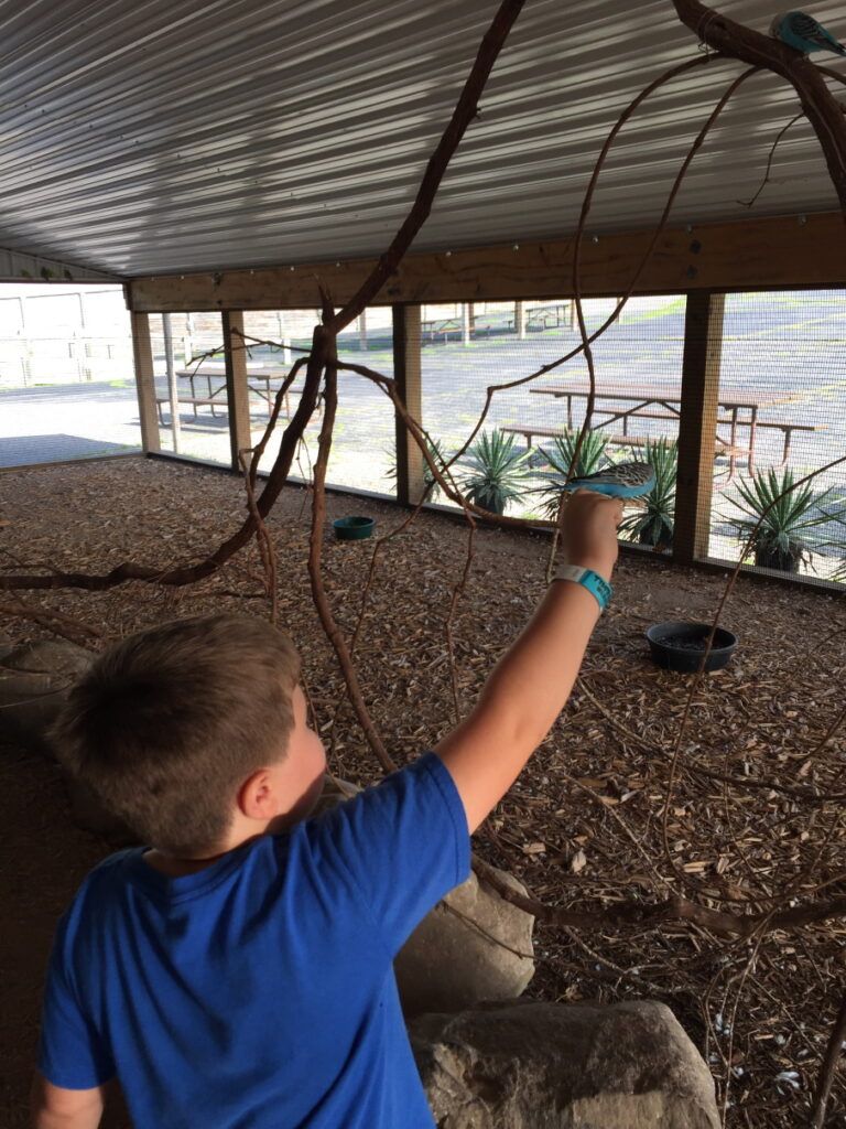 Favorite Vacation Spot - Timbavati Wildlife Park - Wisconsin Dells - Feeding the birds