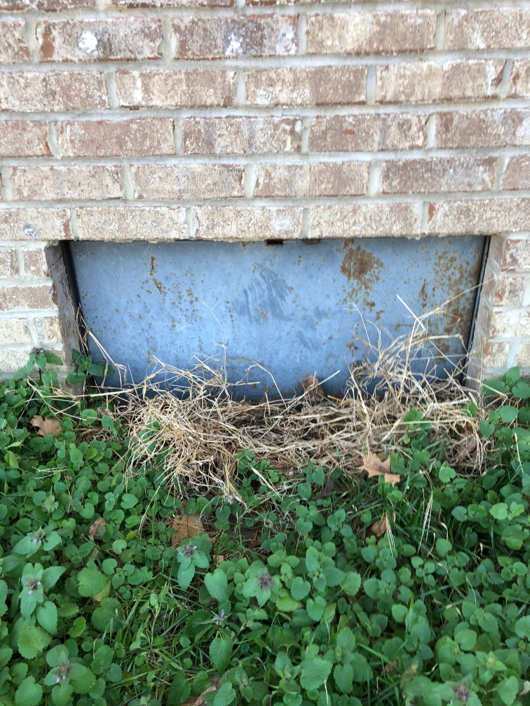 Tips to help save money when buying a home
Check the crawl space
