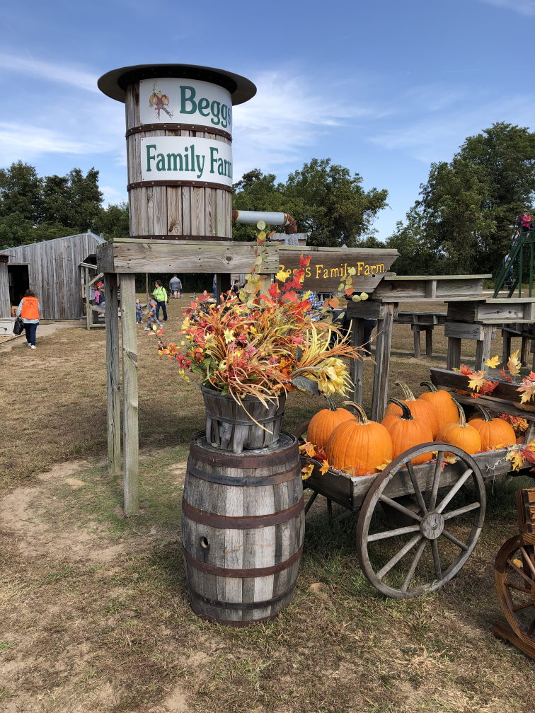 Beggs Family Farm Sikeston MO