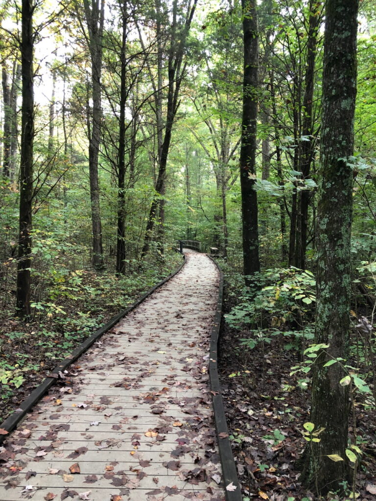 Mammoth Cave National Park Camping Sand Cave Trail