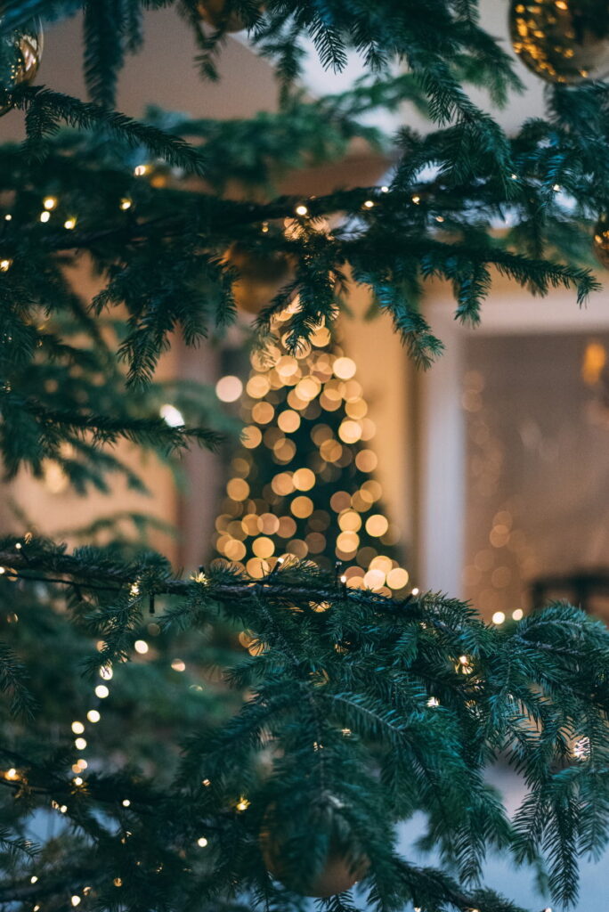 A great winter activity for your toddler is to decorate the Christmas tree