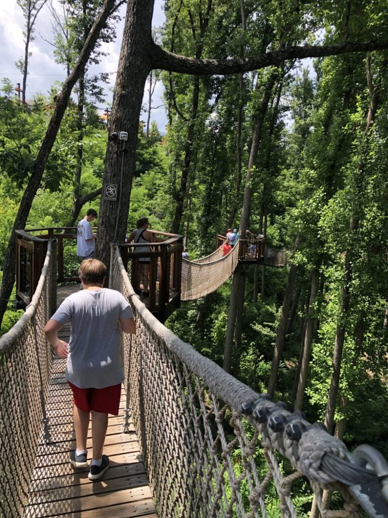 Dads can learn to be fearless from their kids - Walking the rope bridges at Anakeesta