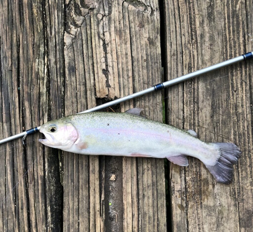 Dads really want for Christmas - fishing time