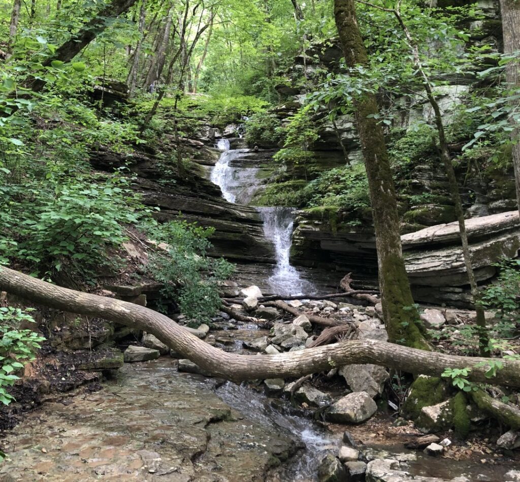 Dads want some peace and quiet for Christmas - Waterfall in Arkansas