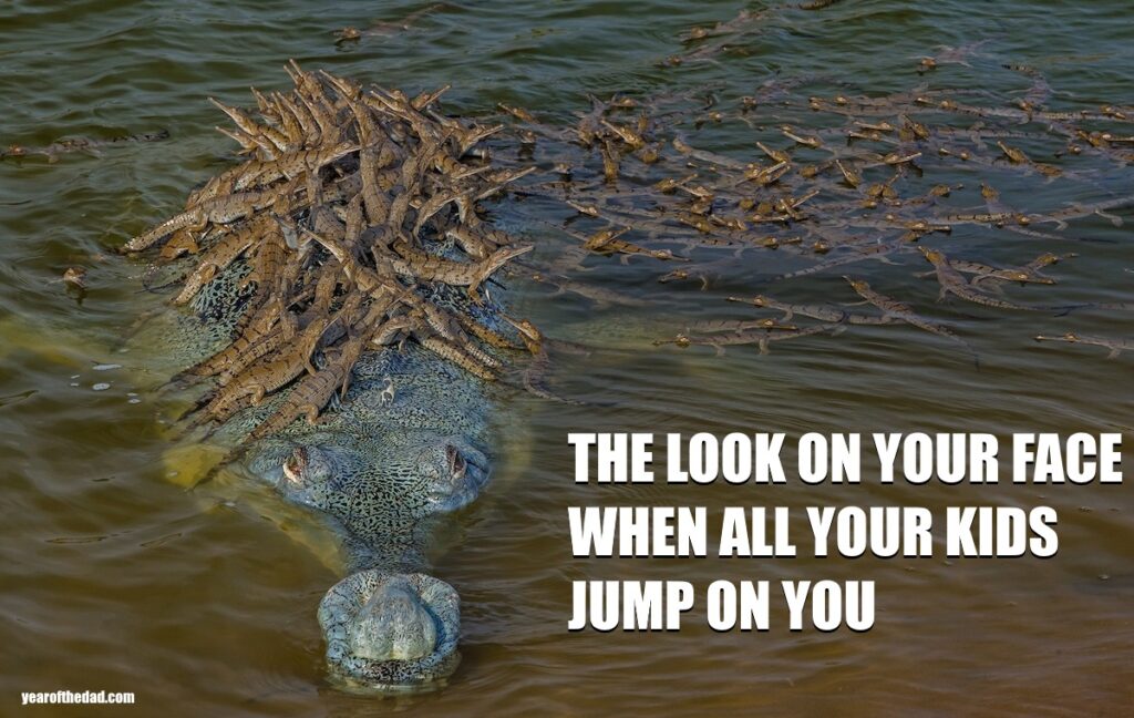 crocodile with babies on back meme