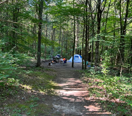 Ferne Clyffe State Park Tent Site # 1 at Turkey Ridge Campground