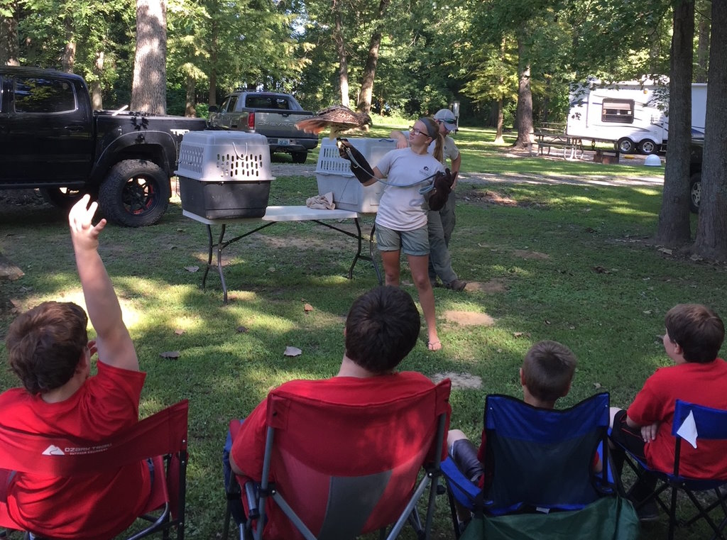 A Cub Scout pack learning about birds.
--How to find a cub scout pack